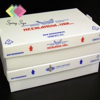 Balení na ovoce z vlnité PP plastové flétny